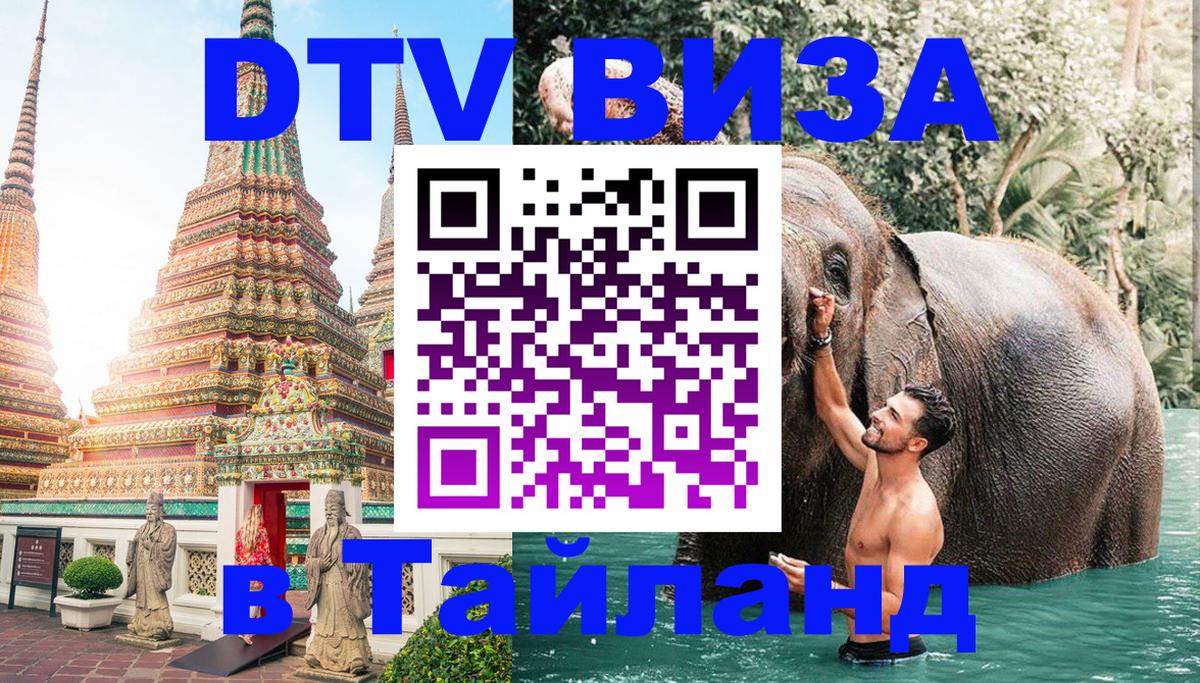 Оформление DTV визы под ключ: стоимость и тарифы, только загранпаспорт - 03.10.2025 
